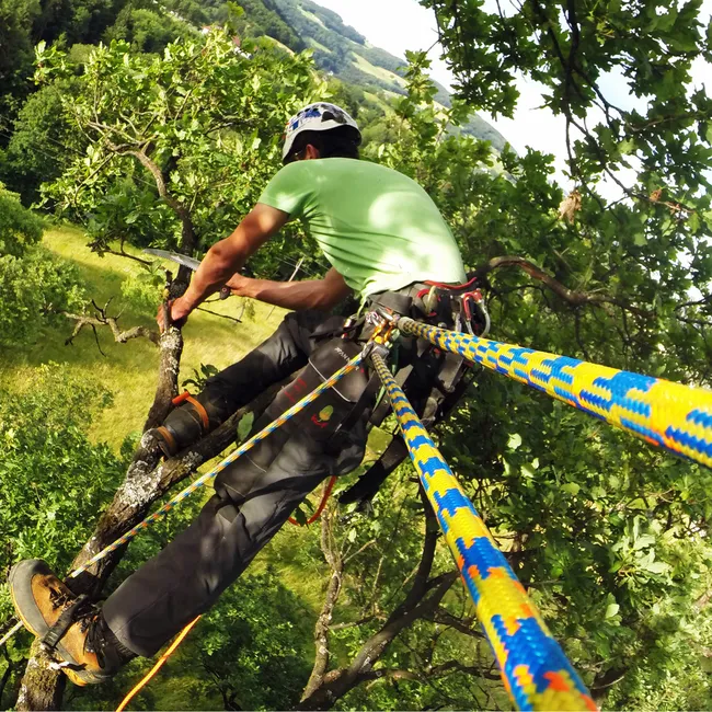 Teufelberger Drenaline 45m1eye クライミングロープ drenaLINE