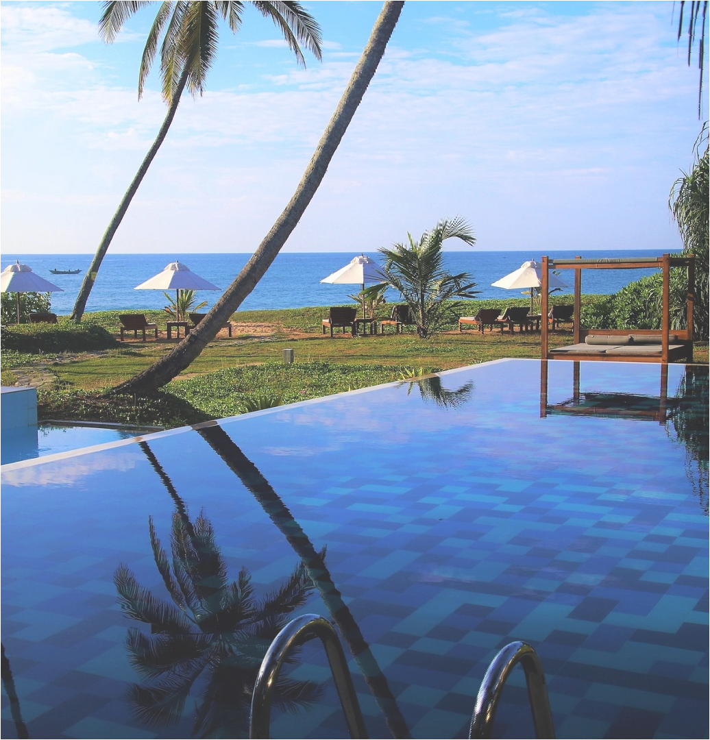 Picture of the author