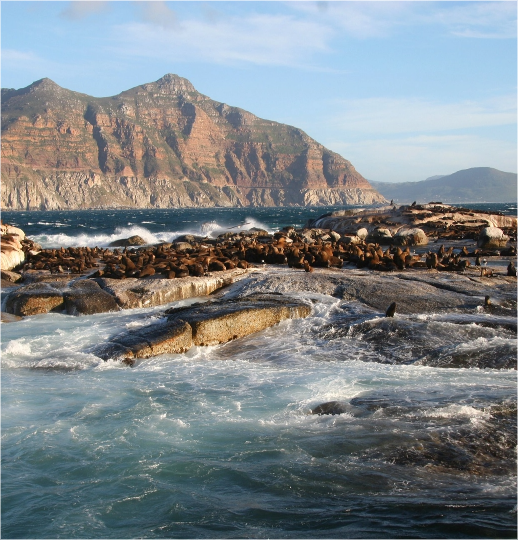 Picture of the author