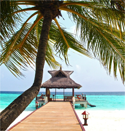 Picture of the author