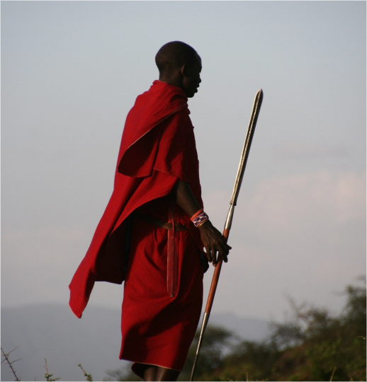 Picture of the author