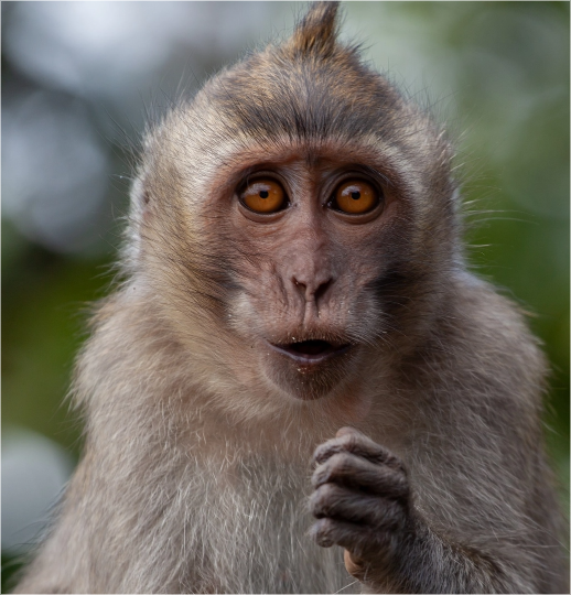 Picture of the author