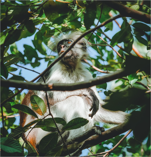 Picture of the author