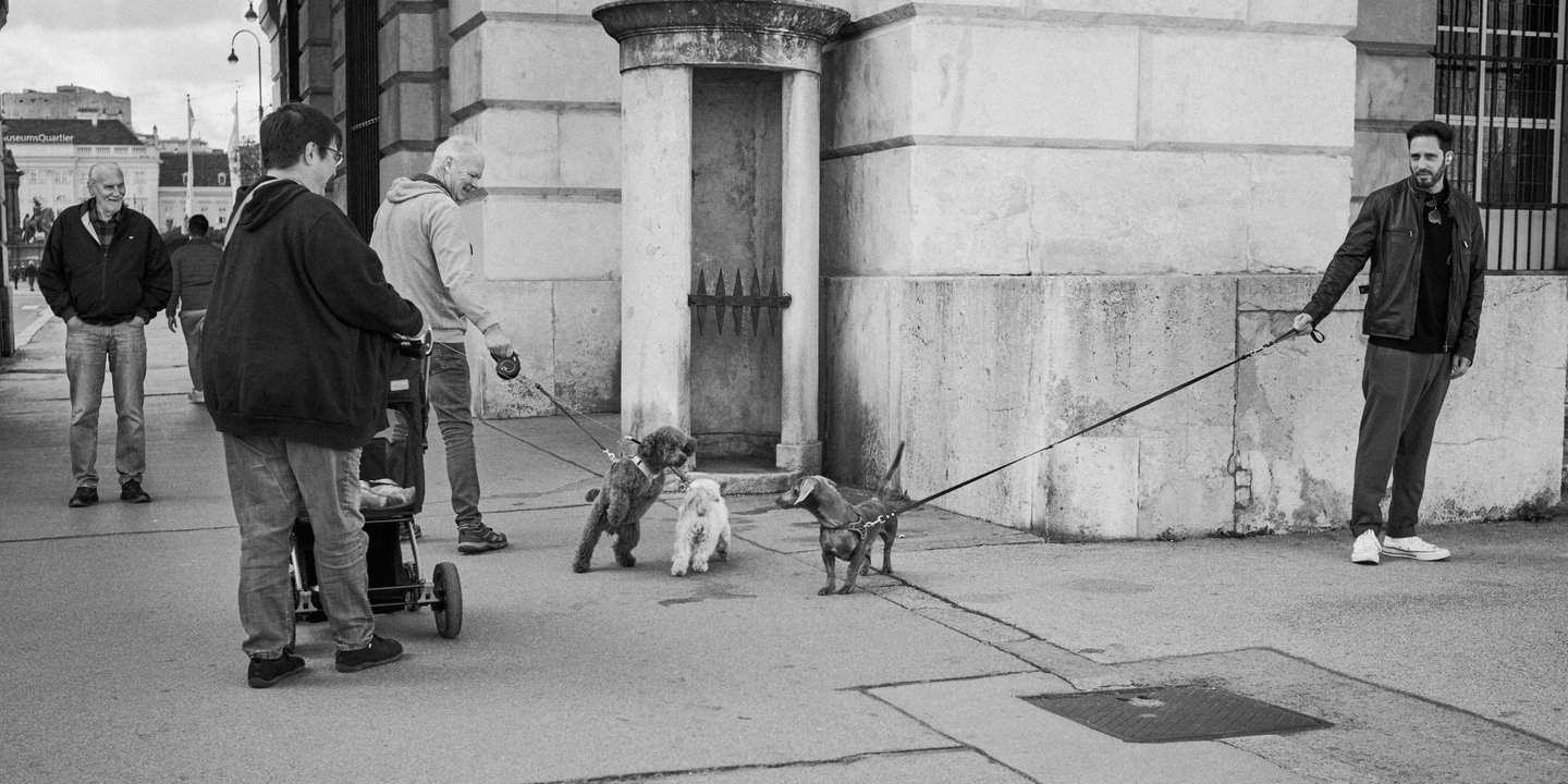 A few dogs greet each other at the Hofburg. Sony A7CR, Voightländer 35mm f/4