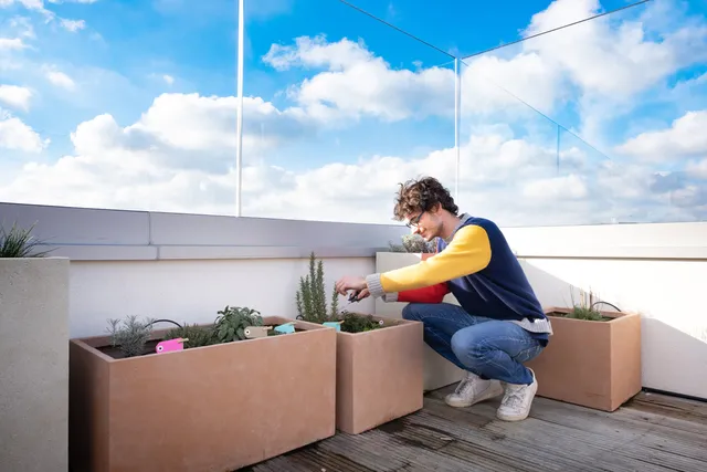 Gardening Workshop