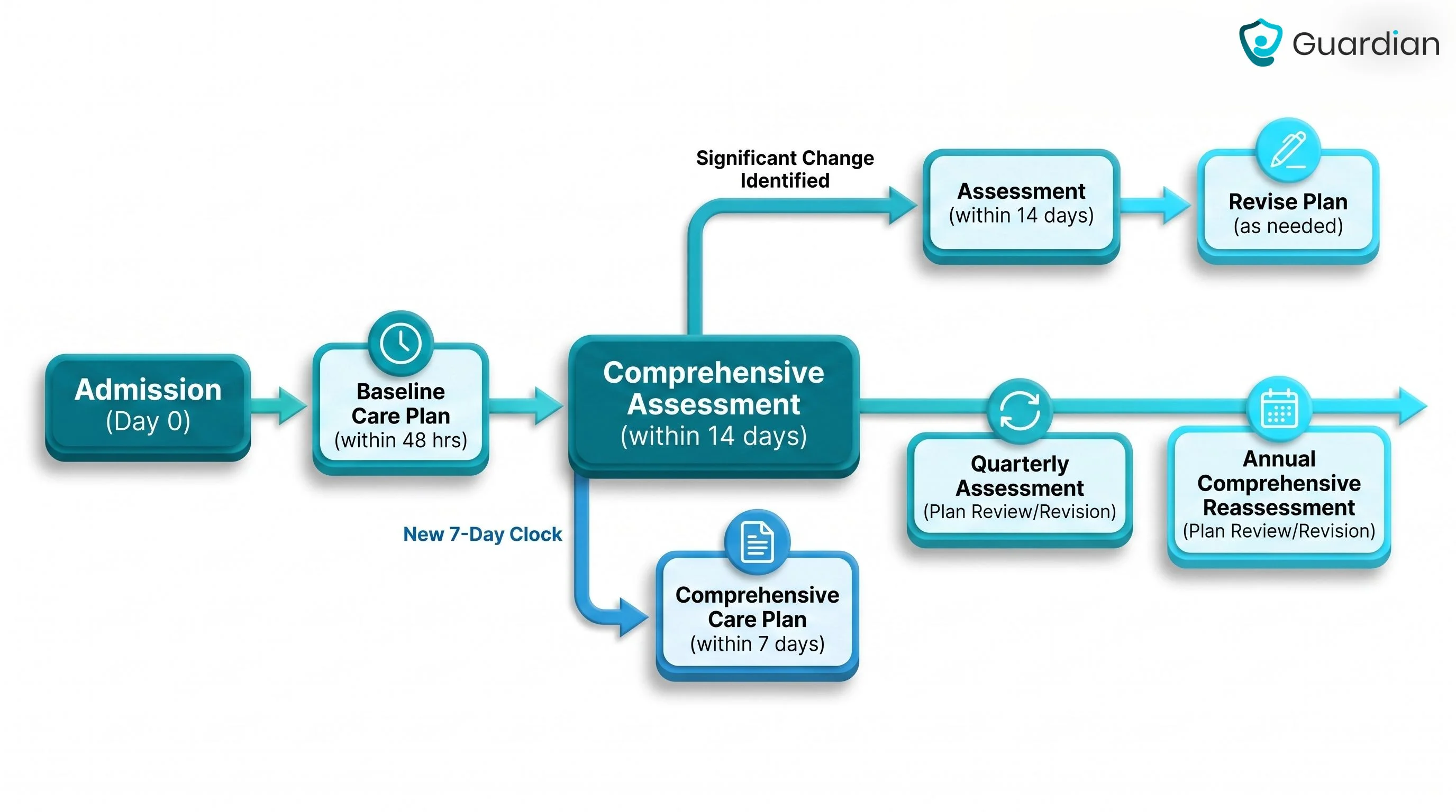 Nursing home care plan timeline showing admission, assessment, planning, and review deadlines