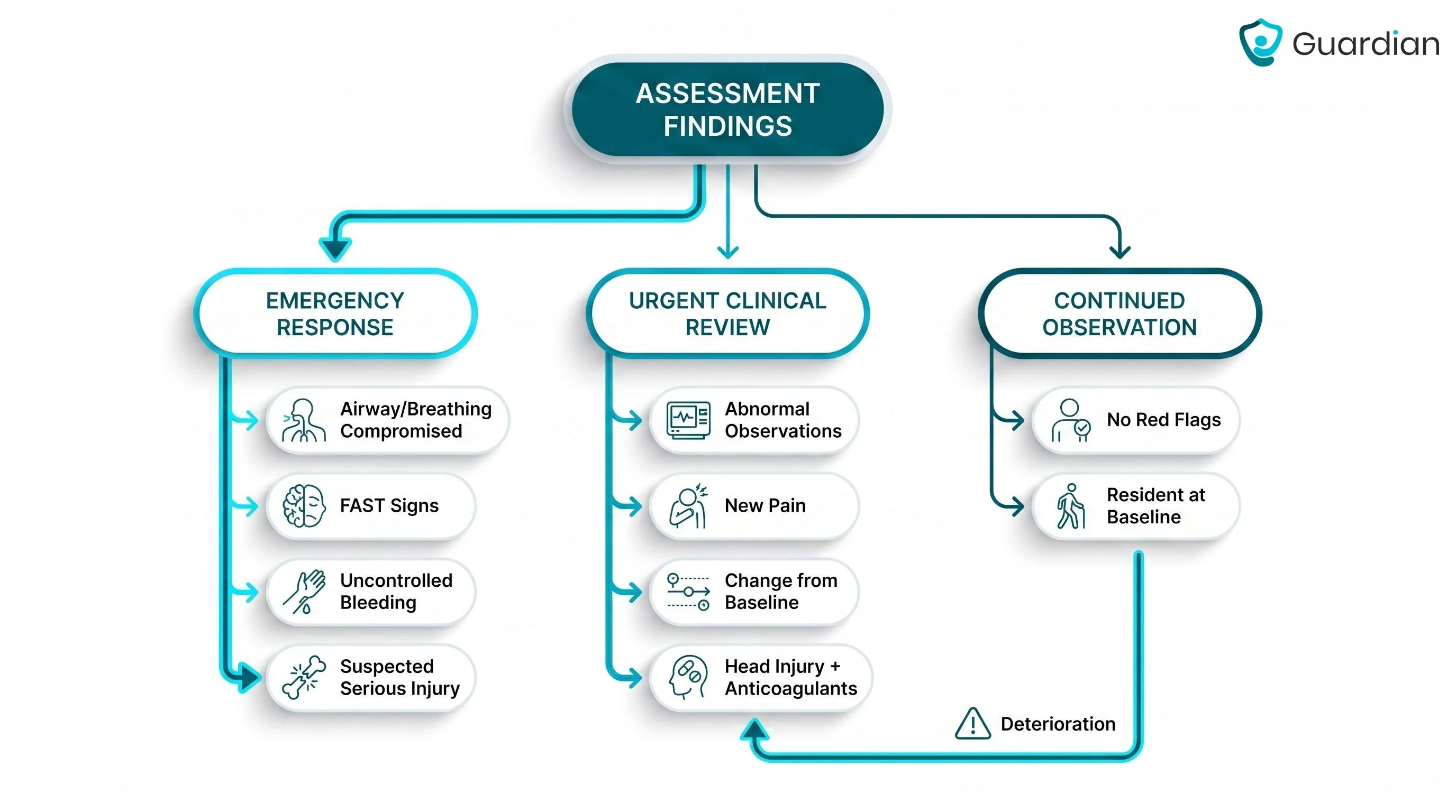Post-fall assessment decision tree for emergency response, clinical review, or observation