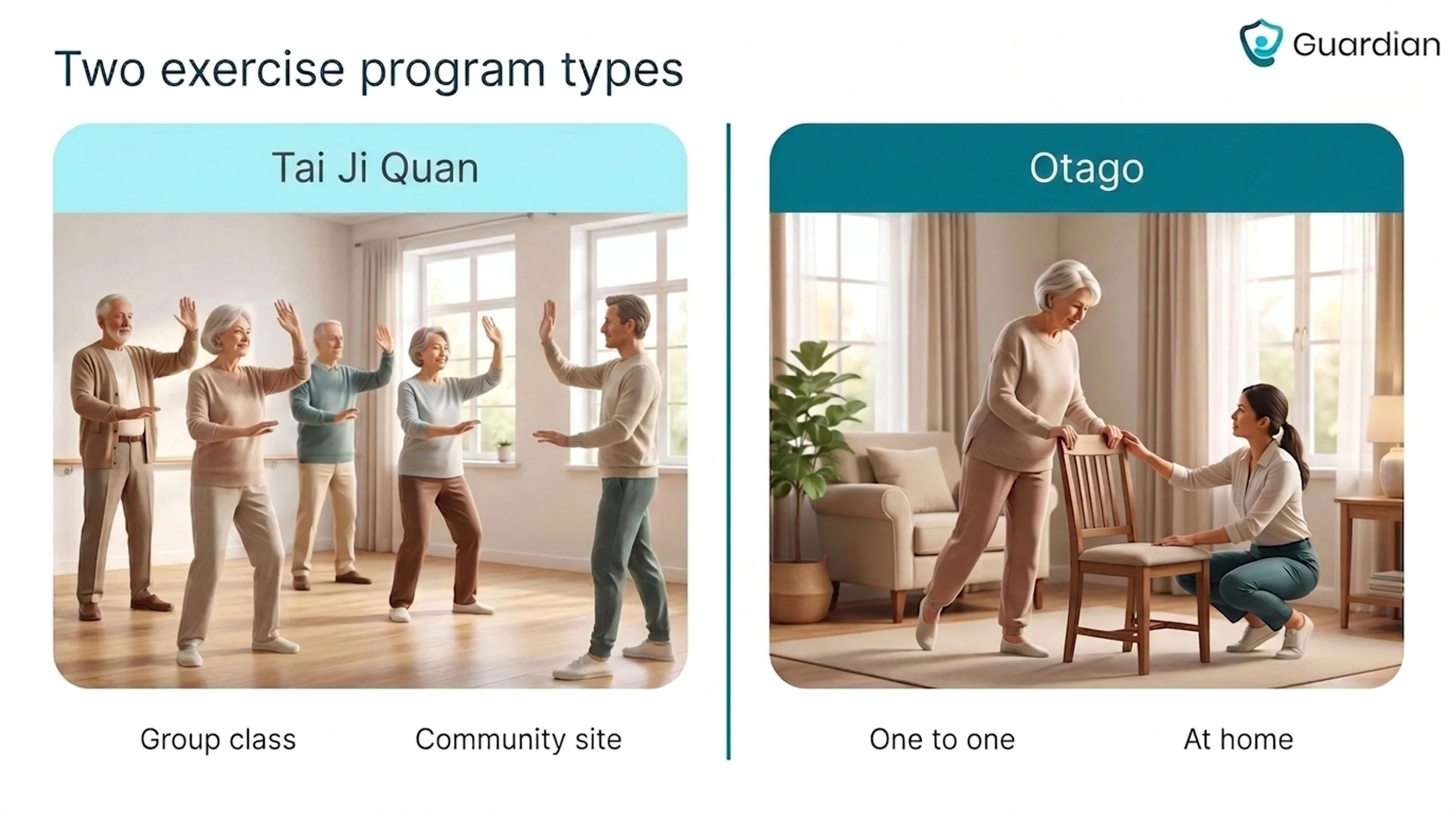 Side-by-side comparison of Tai Ji Quan group classes at a community site and the individualized home-based Otago Exercise...