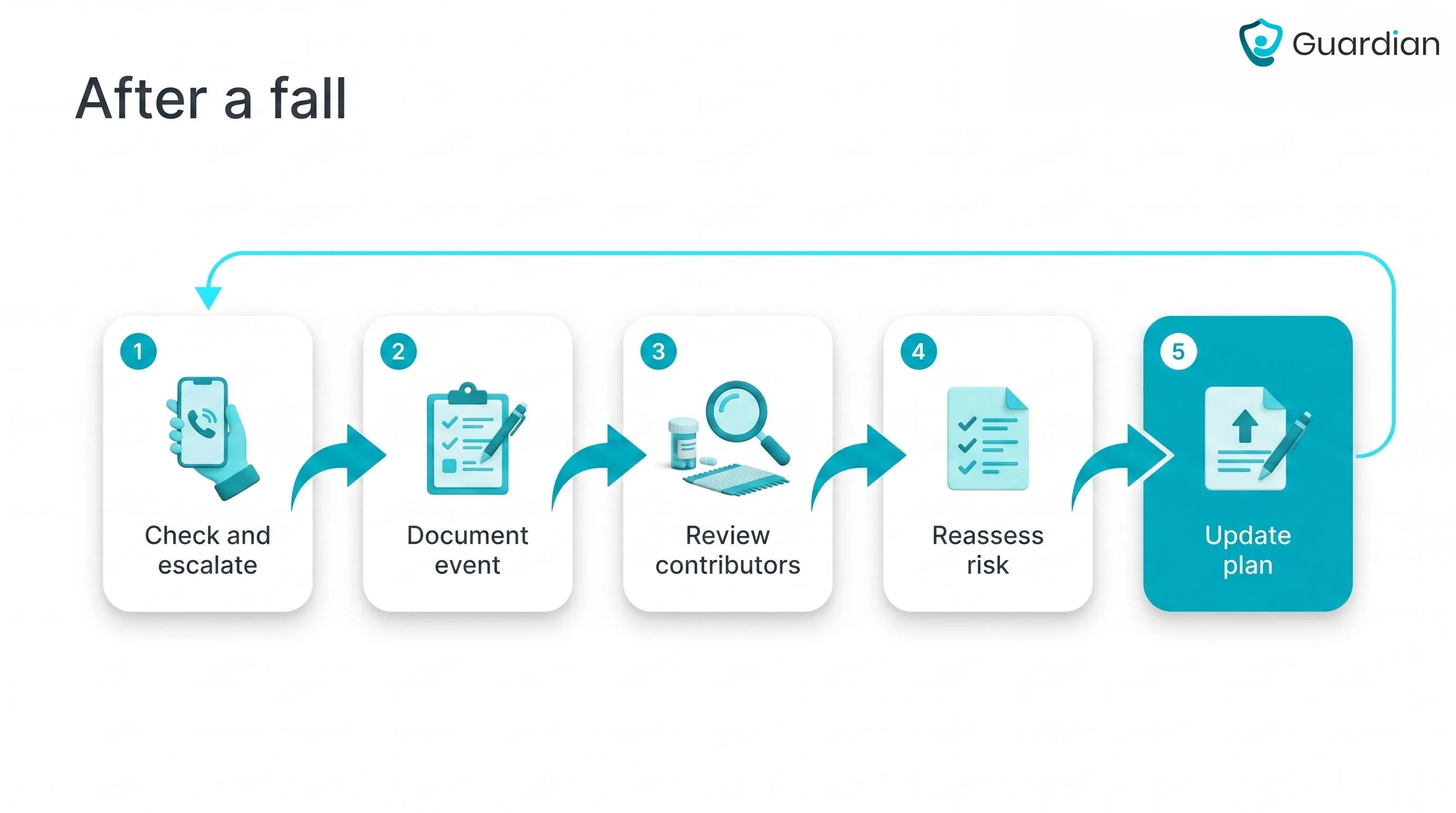 Post-fall response flowchart: check and escalate, document, review contributors, reassess risk, update the plan