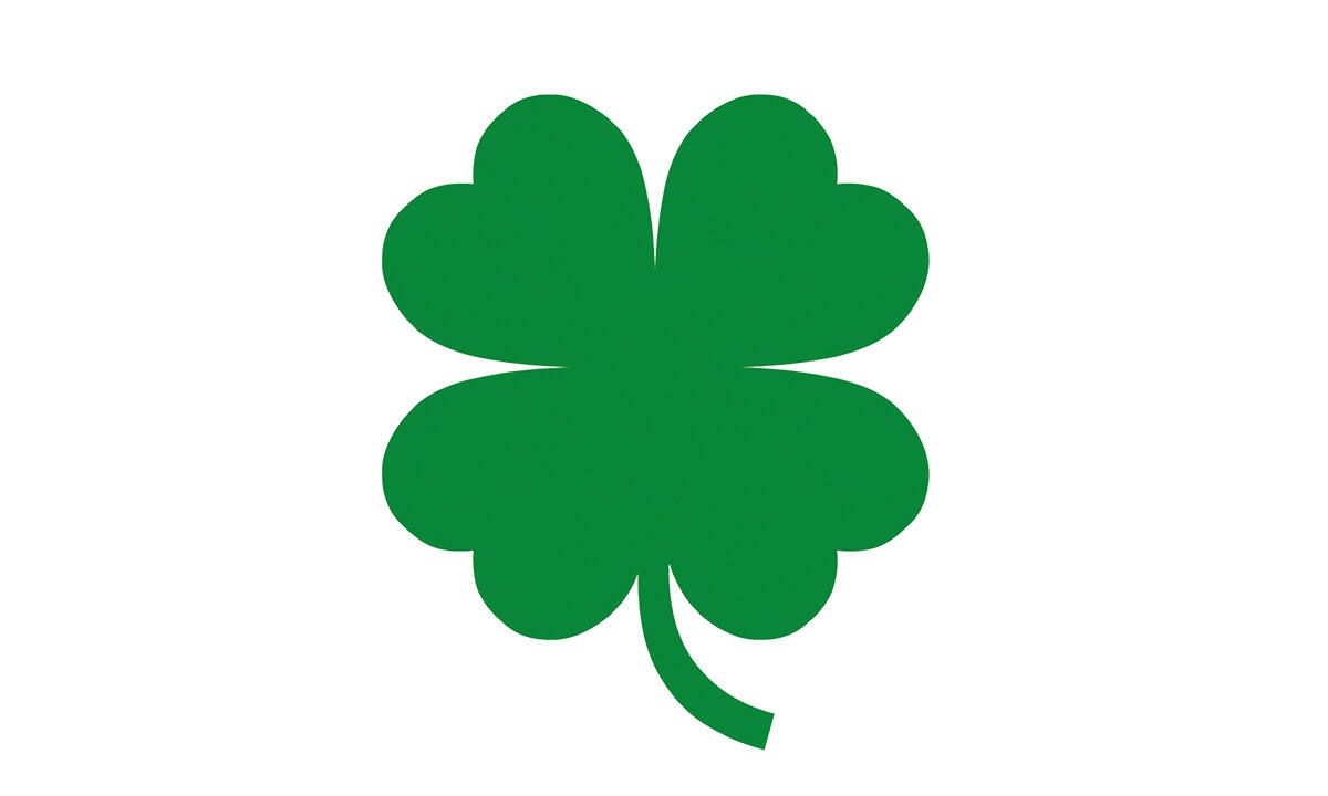 Grünes vierblättriges Kleeblatt auf weißem Hintergrund, das Glück und Wohlstand symbolisiert.