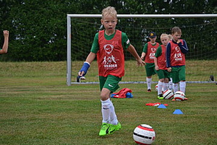 Gallery image 20