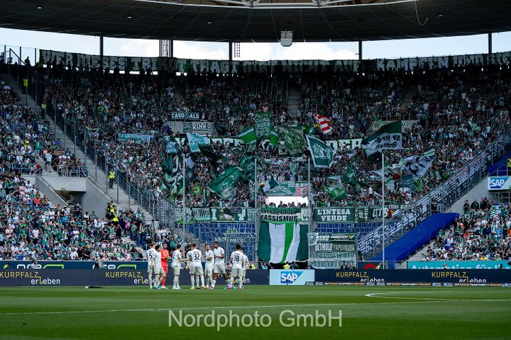 Gallery image 21