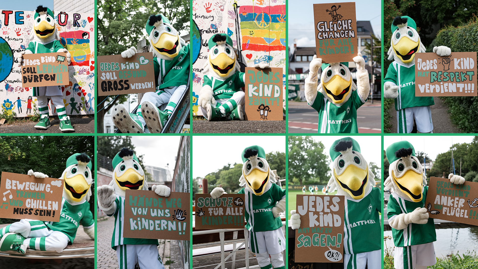 Collage aus mehreren Möwe Toni-Bildern
