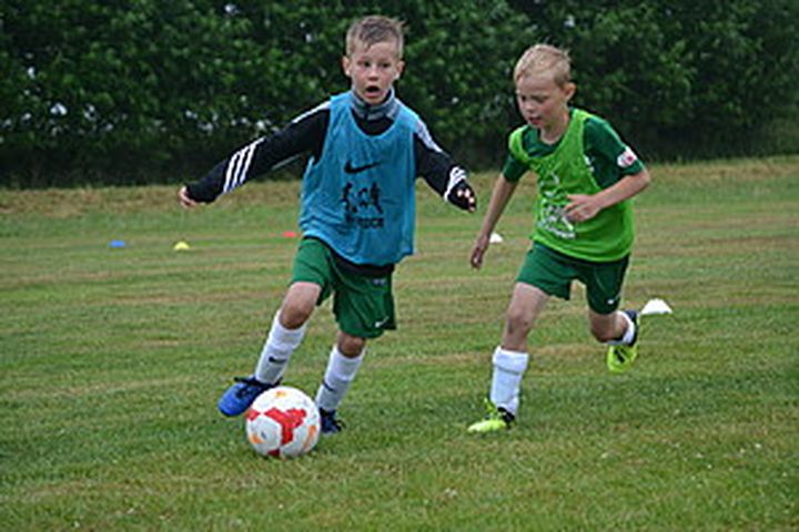 Gallery image 12