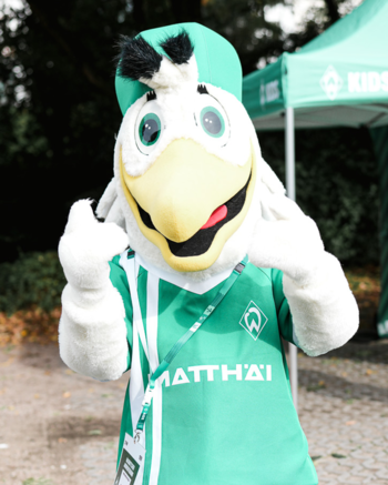 Möwe Toni vor dem Stadion. 