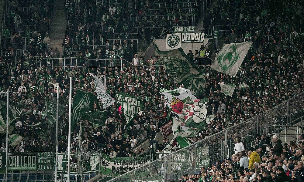 Werde-Fans in der PreZero Arena in Sinsheim.
