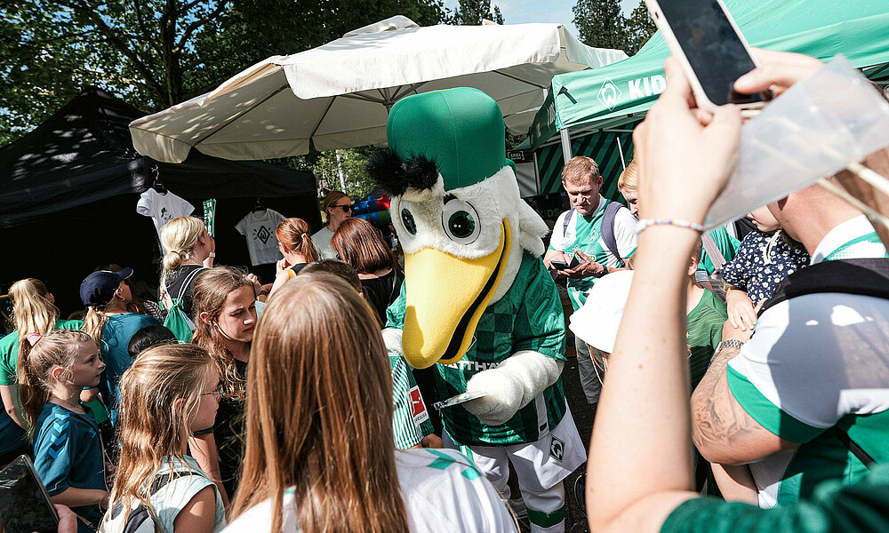 Möwe Toni in einer Gruppe von Werder-Fans