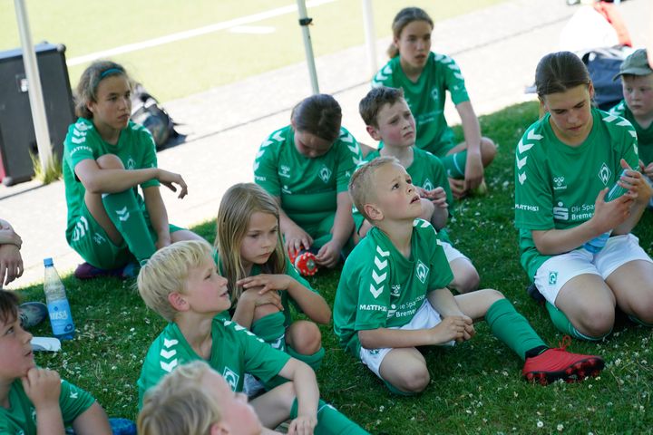 Gallery image 12