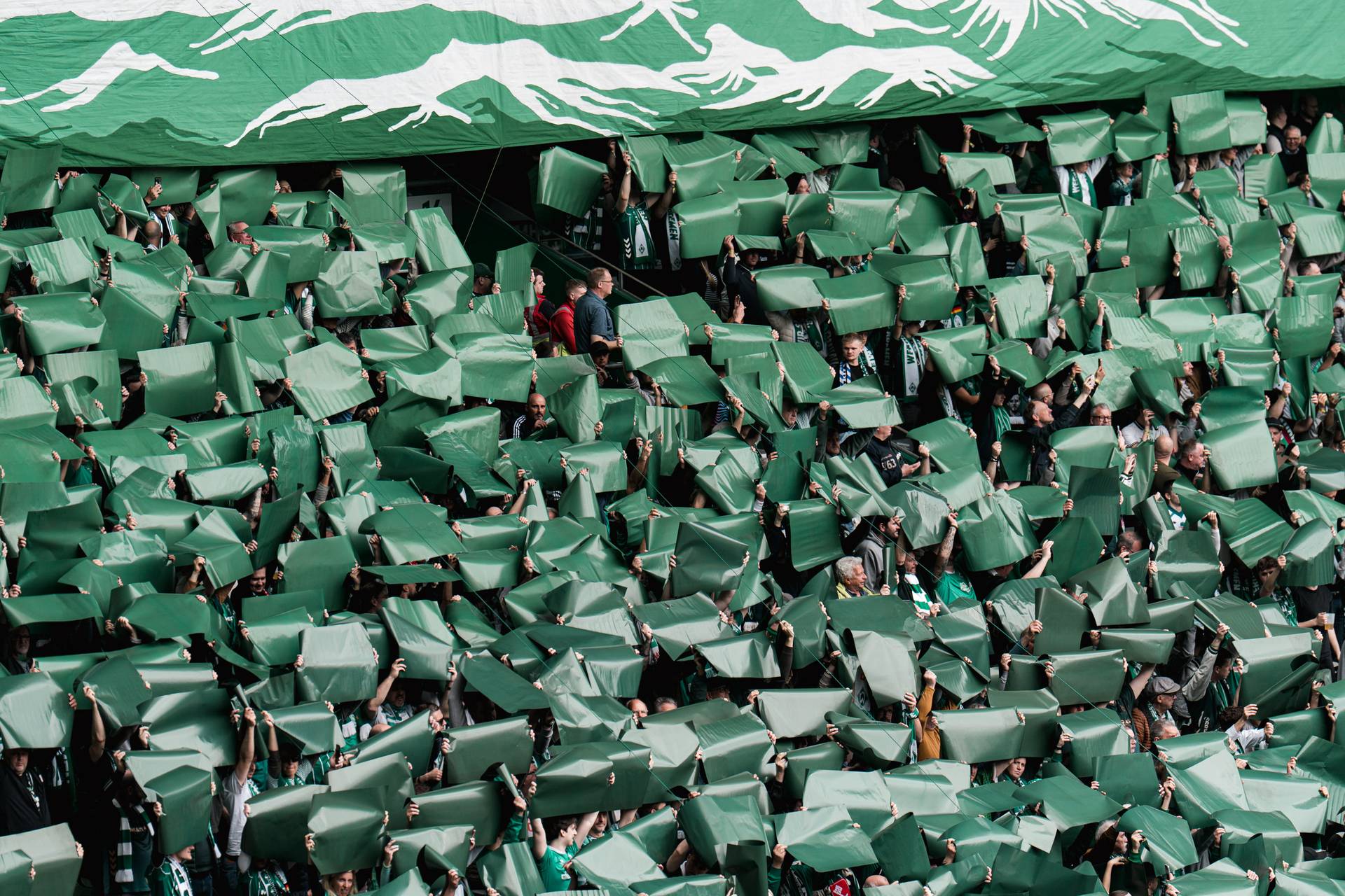 Die Werder-Fans halten grüne Choreo-Planen in die Höhe.