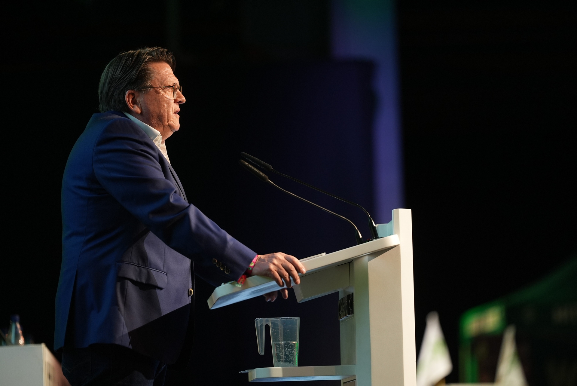 Hess-Grunewald seitlich auf dem Podium bei der Mitgliederversammlung 2025