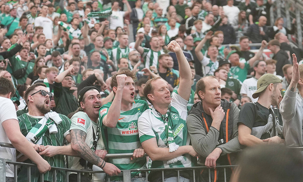Fans feiern den 2:0-Siegtreffer gegen Leverkusen. 