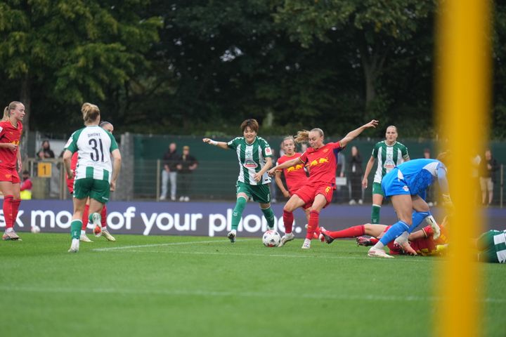 Gallery image 15