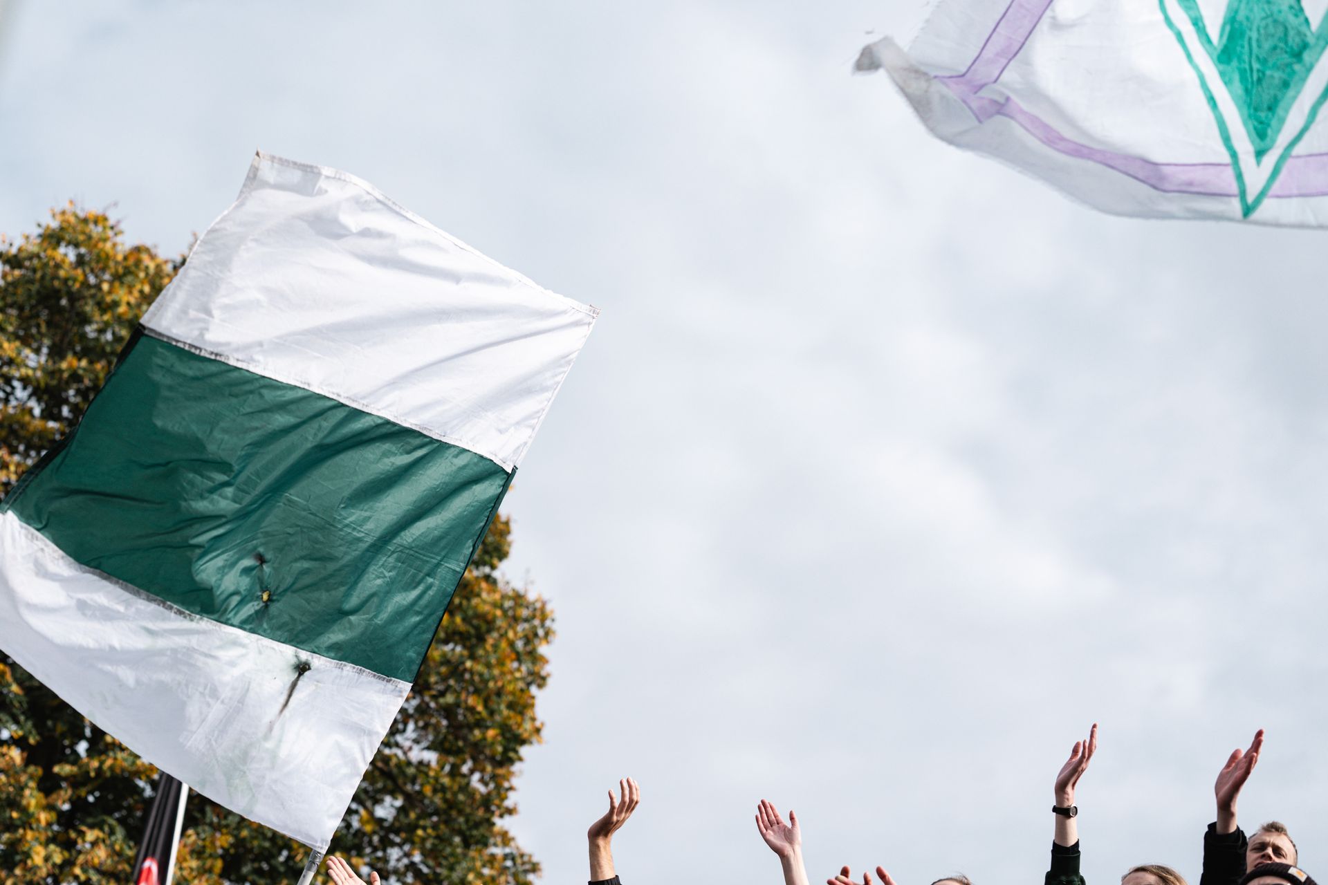 Hände von Fans, die anfeuern mit grün-weißen Fahnen.