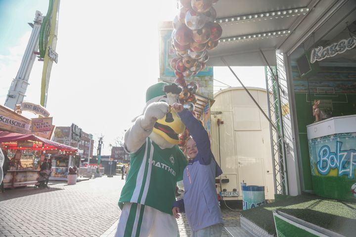 Gallery image 16