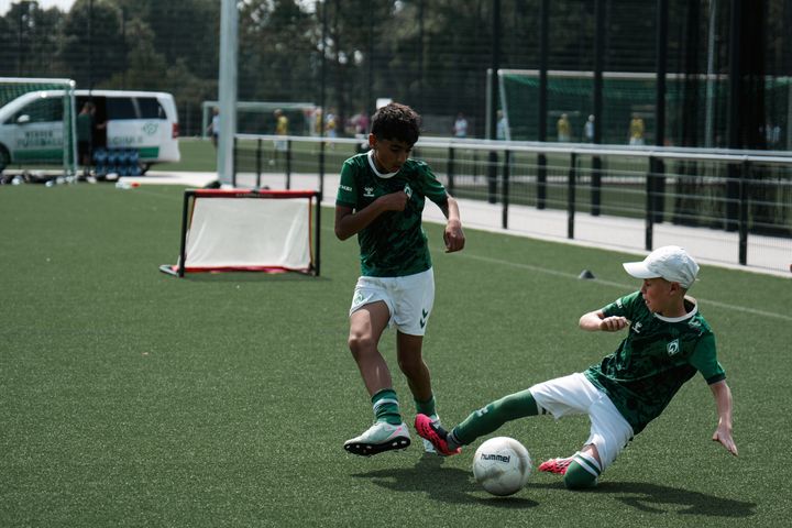 Gallery image 12