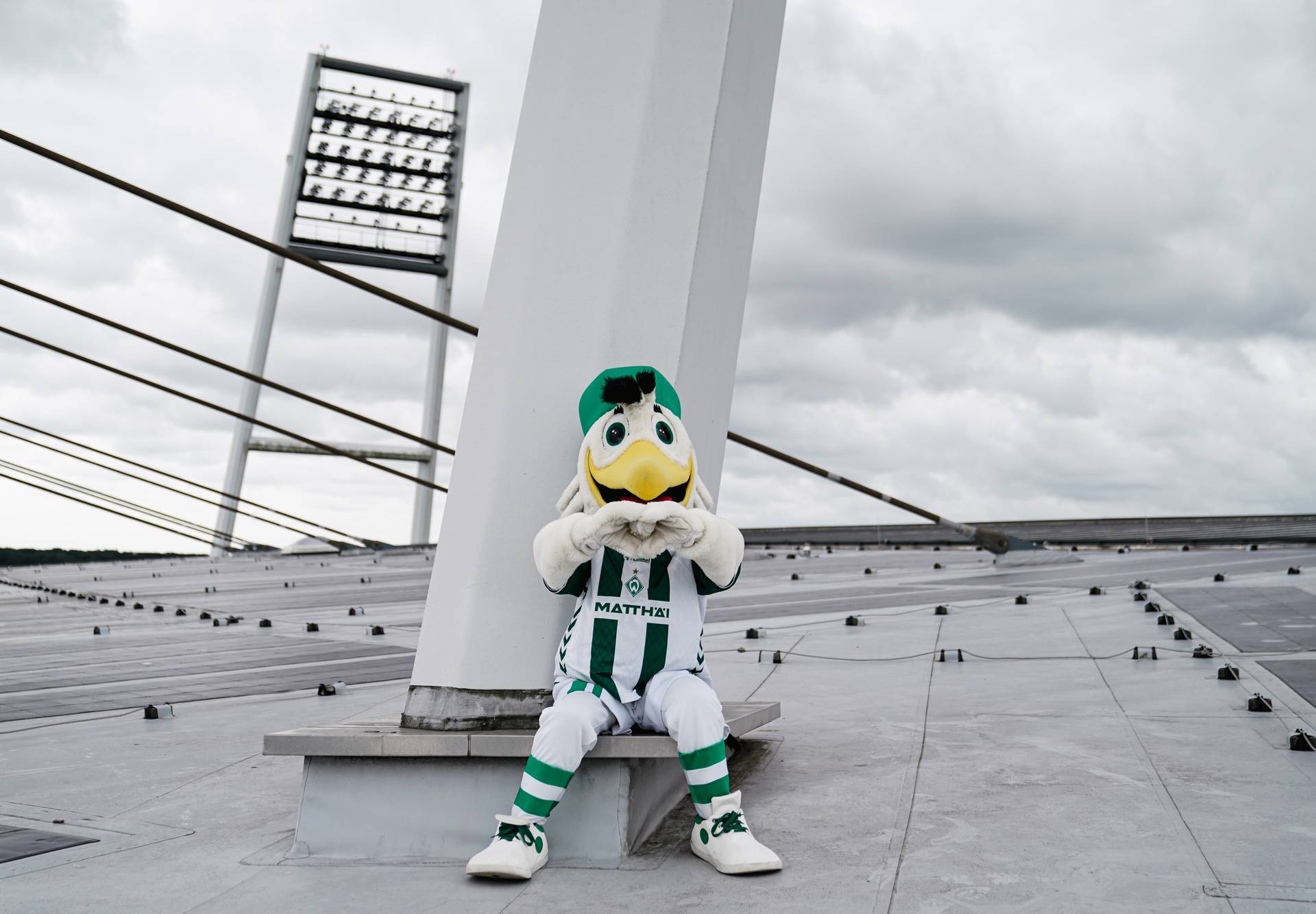 Möwe Toni sitzt auf dem Stadiondach, im Hintergrund eine Flutlichtmast, und trägt das Heimtrikot