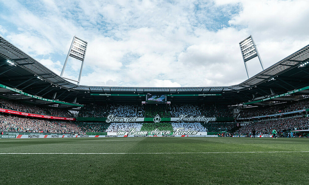 null Ein Blick ins Weserstadion.