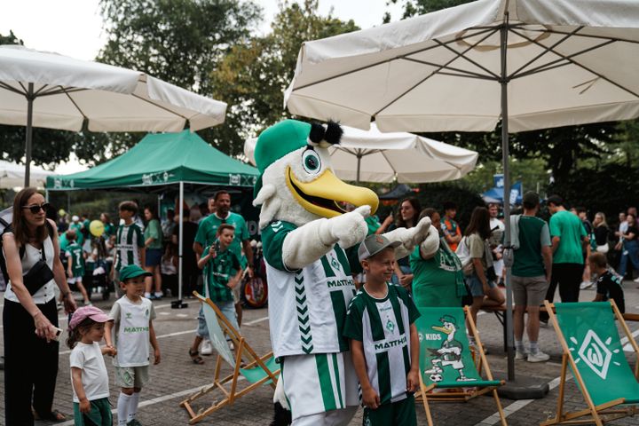 Gallery image 62