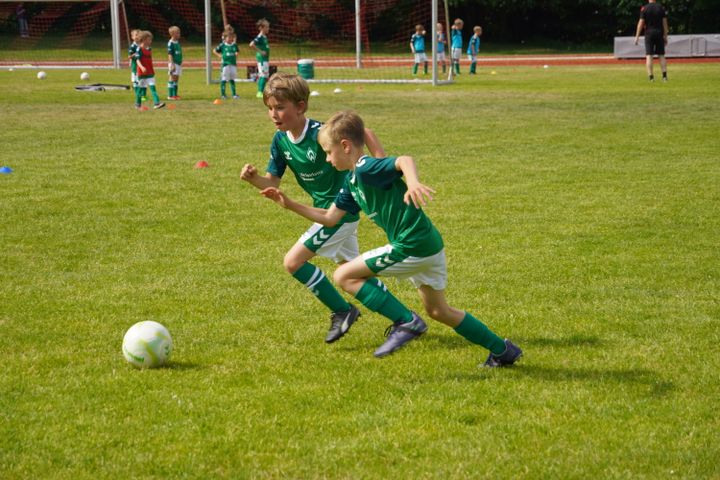 Gallery image 11