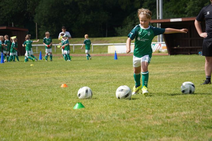 Gallery image 20