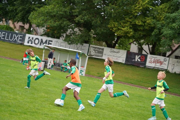 Gallery image 12