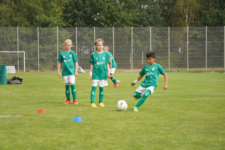 Gallery image 11