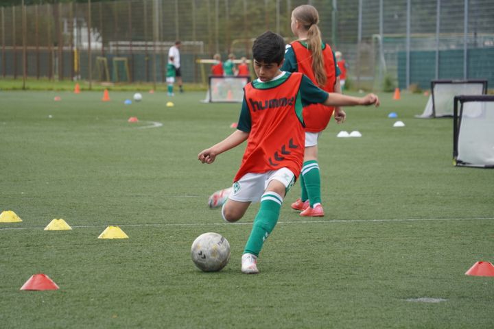 Gallery image 22