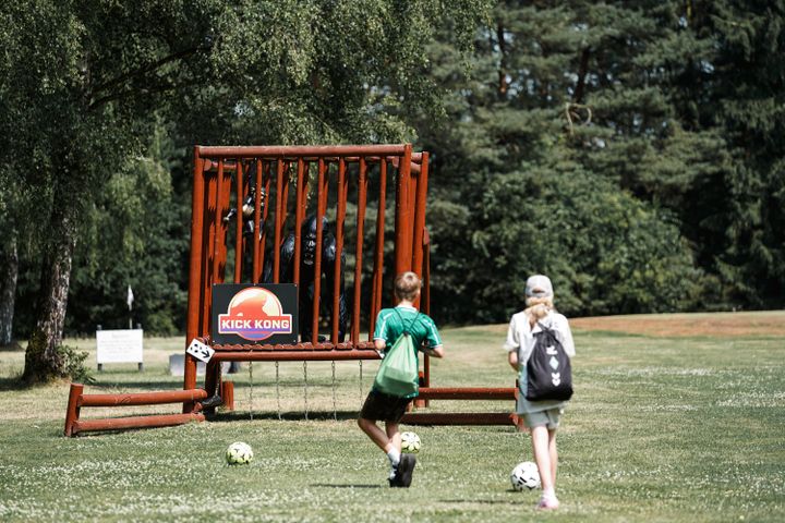Gallery image 8