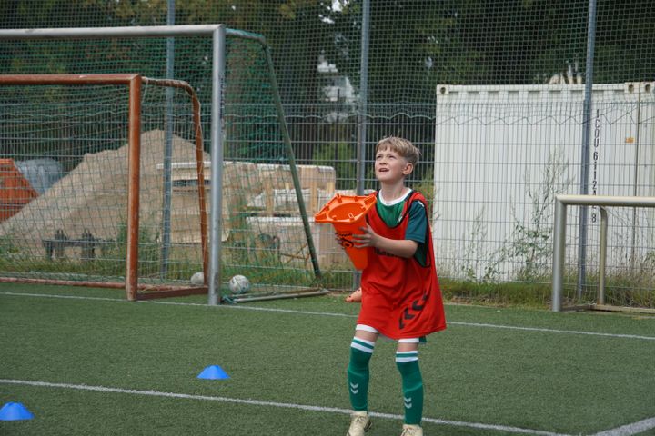 Gallery image 12