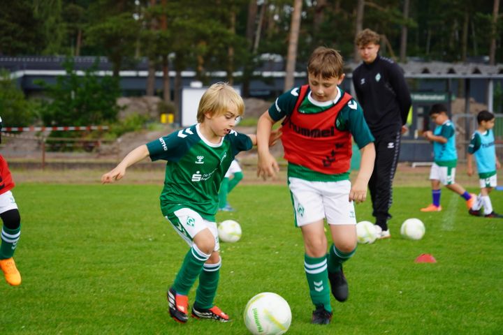 Gallery image 12