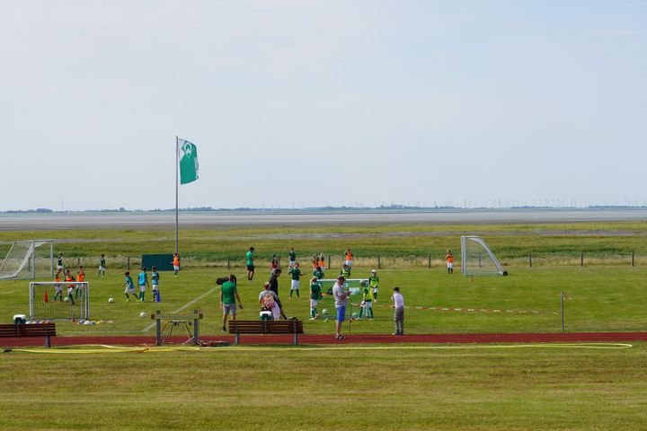 Gallery image 20