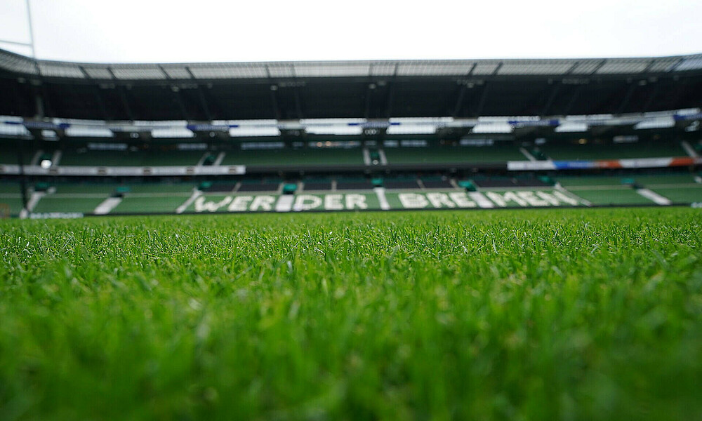 Der Rasen im wohninvest WESERSTADION