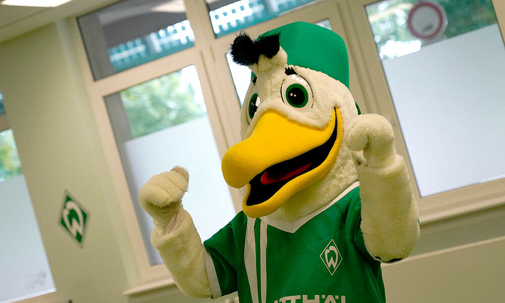 Das Maskottchen Möwe Toni hebt seine Arme nach oben.