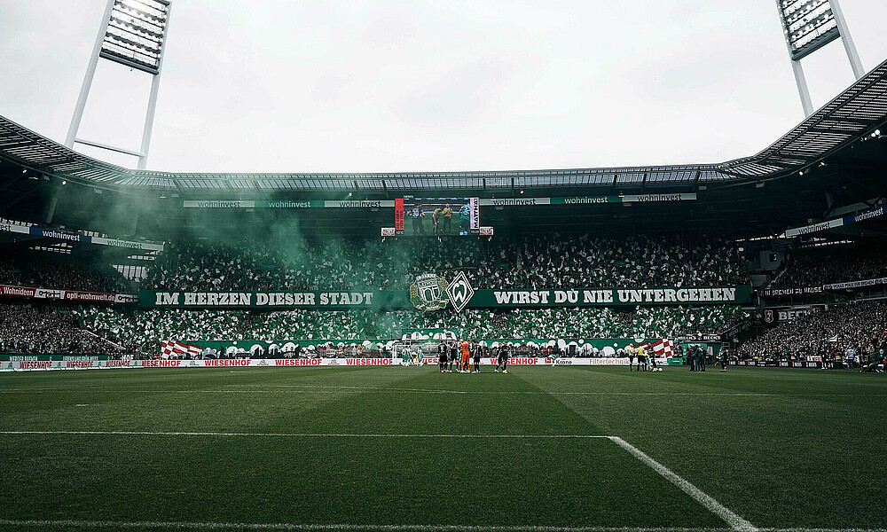 Werder-Fans im wohninvest WESERSTADION.