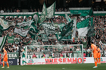 Fahnenmeer in der Ostkurve. 