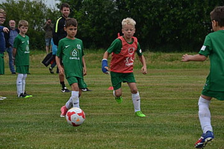 Gallery image 23