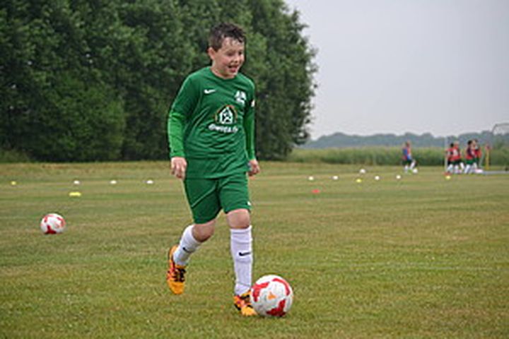 Gallery image 11