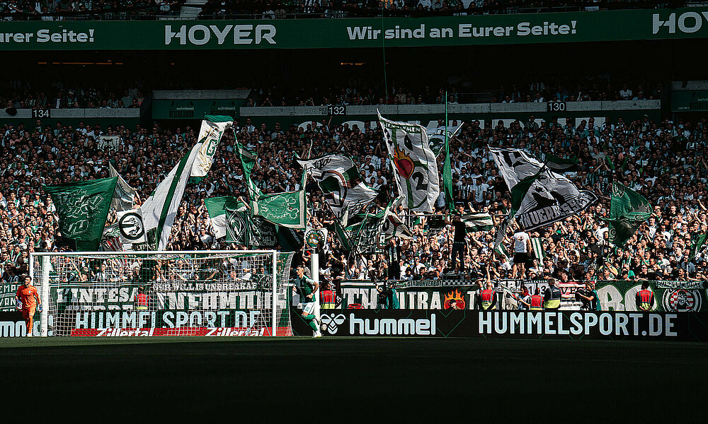 In der Ostkurve des wohninvest WESERSTADIONs währen zahlreiche grün-weiße Fahnen.