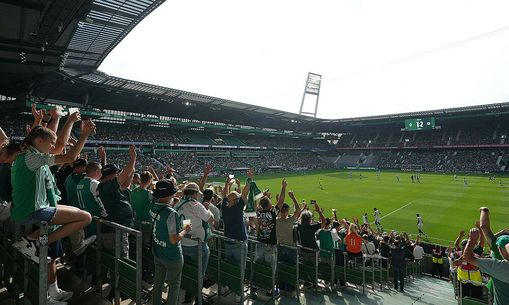 null Ein Bild aus der Perspektive der Ostkurve auf das Spielfeld. Man sieht Fans, die die Hände hochreißen.