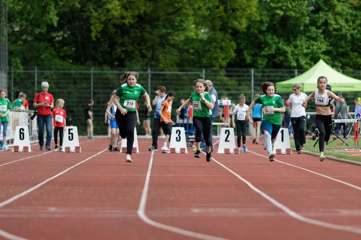 Gallery image 12